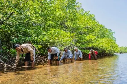 Environmental Program